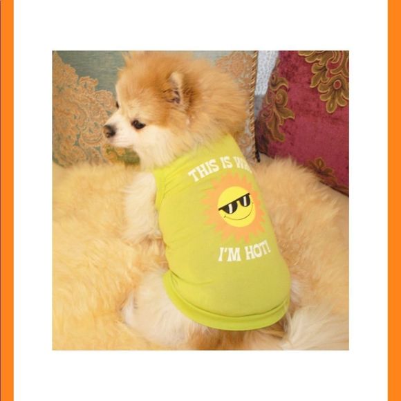2/$10; 4/$15 Last One! NWT, Neon Green “I’m Hot” Sunny ☀️ Little Pet Tee: small - Picture 2 of 3